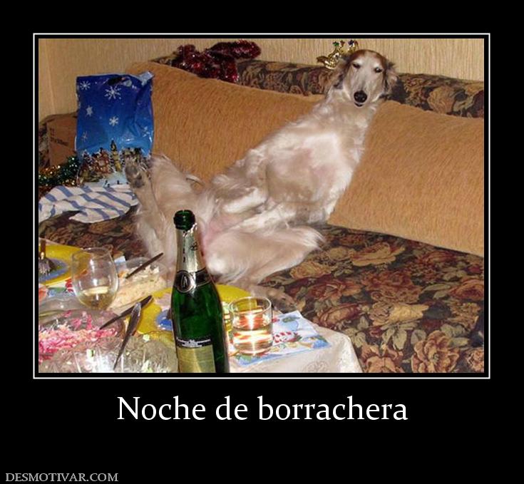 Noche de borrachera