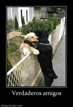 Verdaderos amigos