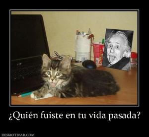 ¿Quién fuiste en tu vida pasada?