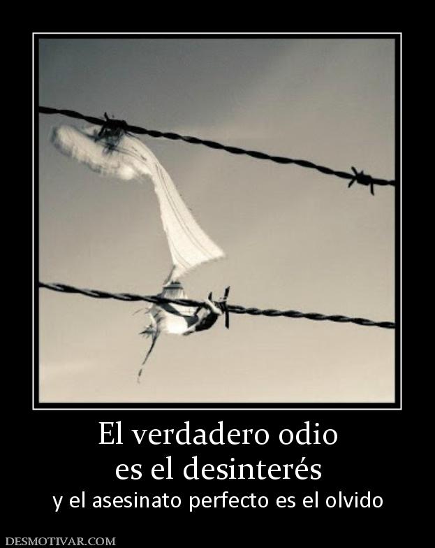 El verdadero odio es el desinterés  y el asesinato perfecto es el olvido