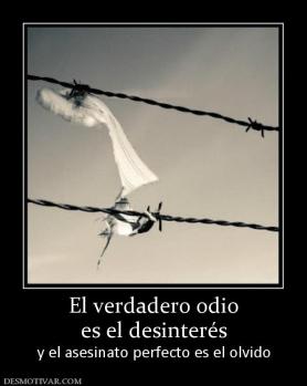 El verdadero odio es el desinterés  y el asesinato perfecto es el olvido