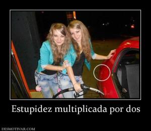 Estupidez multiplicada por dos