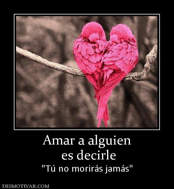 Amar a alguien  es decirle