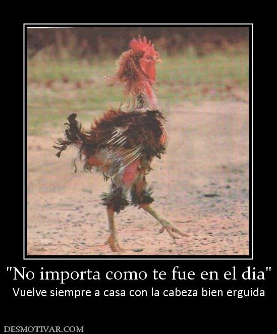 Vuelve siempre a casa con la cabeza bien erguida