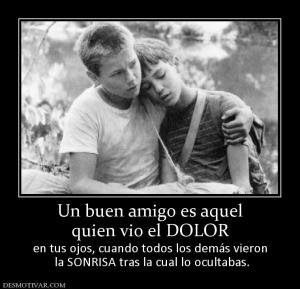 Un buen amigo es aquel quien vio el DOLOR en tus ojos, cuando todos los demás vieron  la SONRISA tras la cual lo ocultabas.