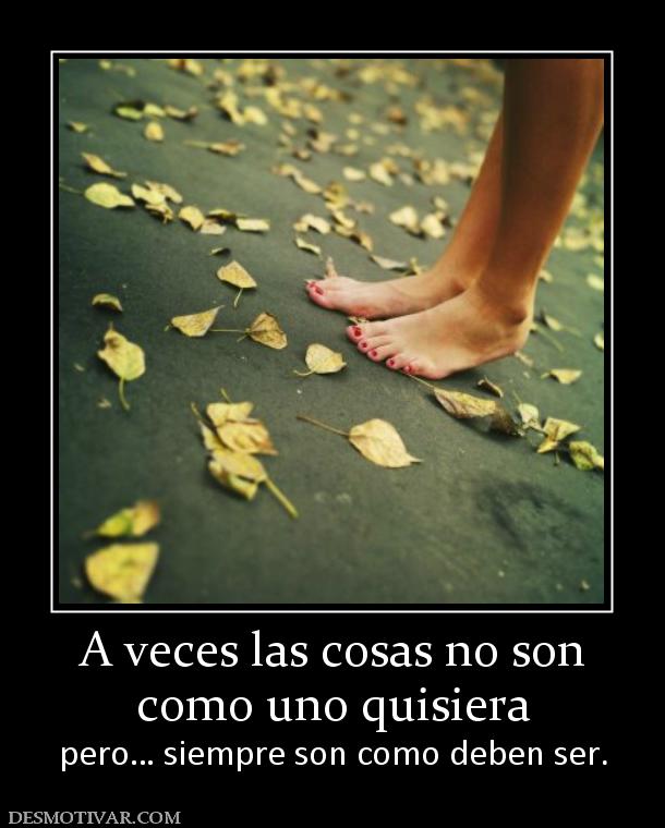 A veces las cosas no son como uno quisiera pero… siempre son como deben ser.