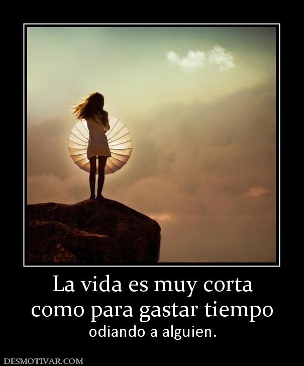 La vida es muy corta como para gastar tiempo odiando a alguien.