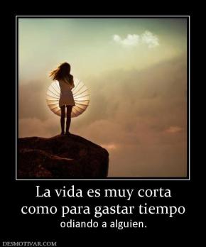 La vida es muy corta como para gastar tiempo odiando a alguien.