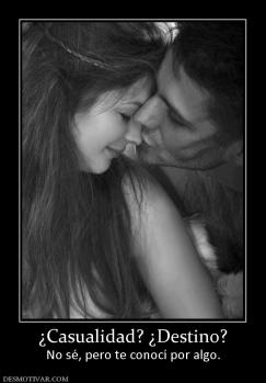 ¿Casualidad? ¿Destino? No sé, pero te conocí por algo.