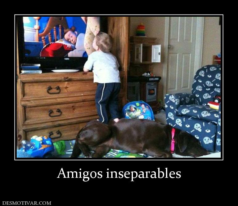 Amigos inseparables