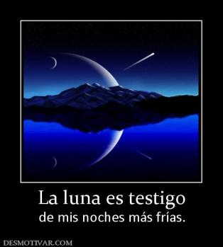 La luna es testigo de mis noches más frías.