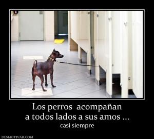 Los perros  acompañan a todos lados a sus amos ... casi siempre