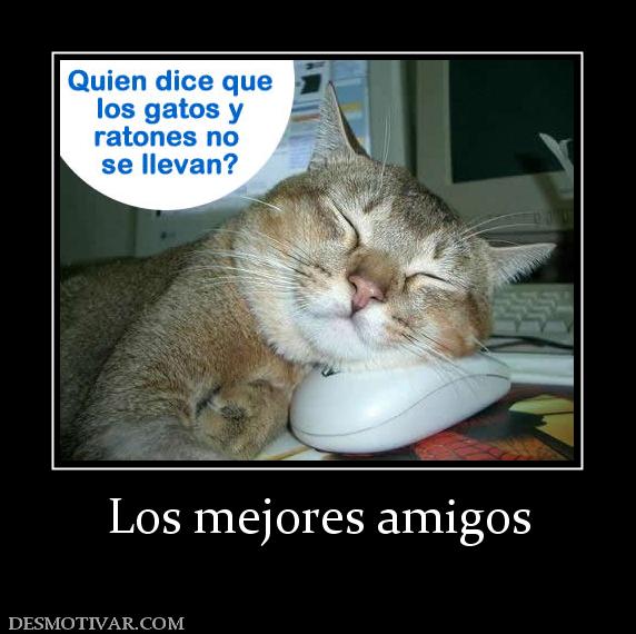 Los mejores amigos