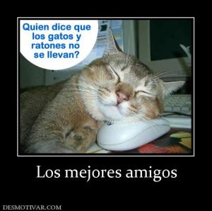 Los mejores amigos