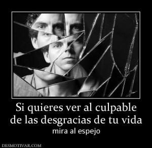 Si quieres ver al culpable de las desgracias de tu vida mira al espejo