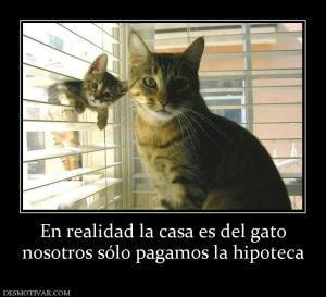 En realidad la casa es del gato nosotros sólo pagamos la hipoteca