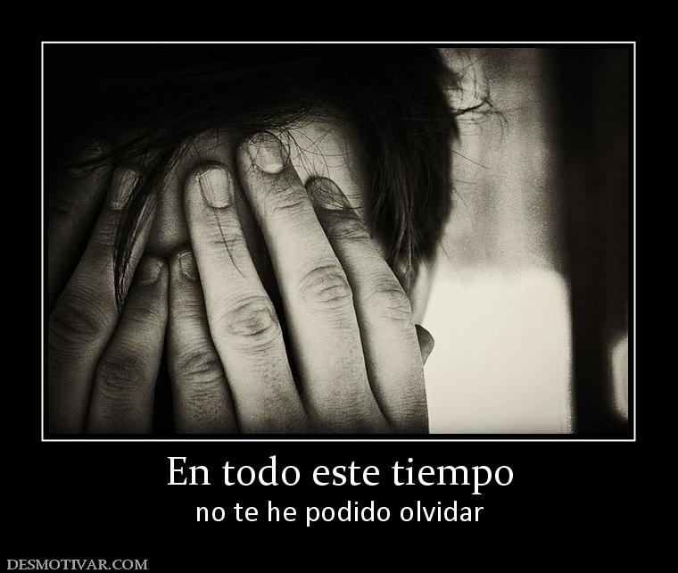 En todo este tiempo no te he podido olvidar