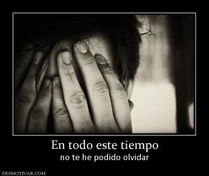 En todo este tiempo no te he podido olvidar
