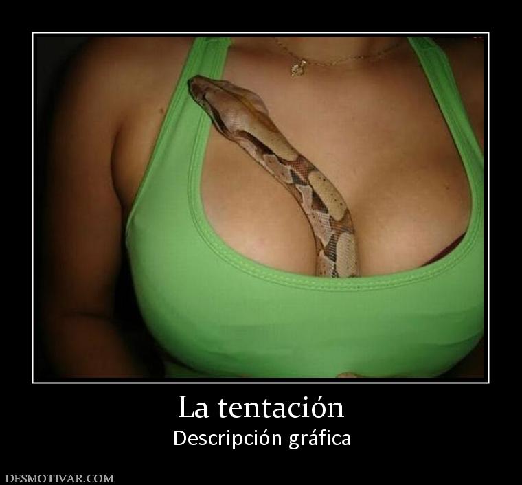 La tentación Descripción gráfica