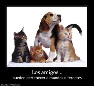 Los amigos... pueden pertenecer a mundos diferentes