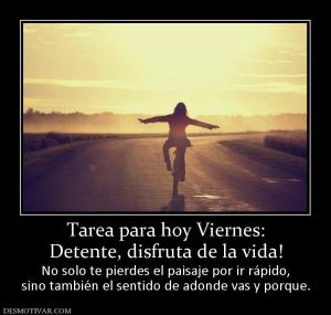 Tarea para hoy Viernes: Detente, disfruta de la vida!  No solo te pierdes el paisaje por ir rápido, sino también el sentido de adonde vas y porque.