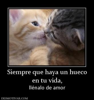 Siempre que haya un hueco en tu vida, llénalo de amor