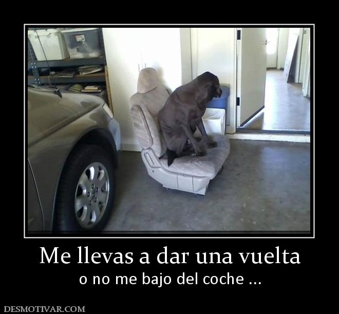 Me llevas a dar una vuelta o no me bajo del coche ...