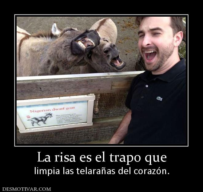 La risa es el trapo que limpia las telarañas del corazón.