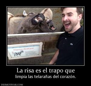 La risa es el trapo que limpia las telarañas del corazón.