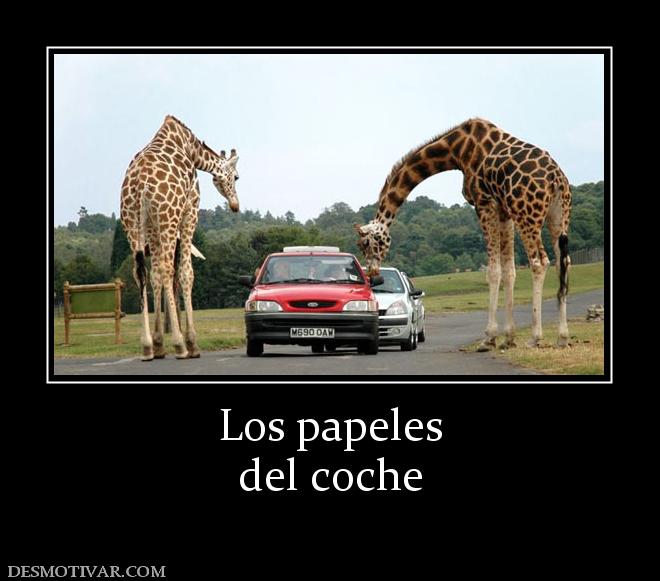 Los papeles del coche