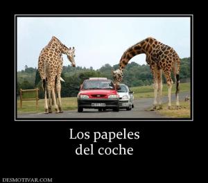 Los papeles del coche