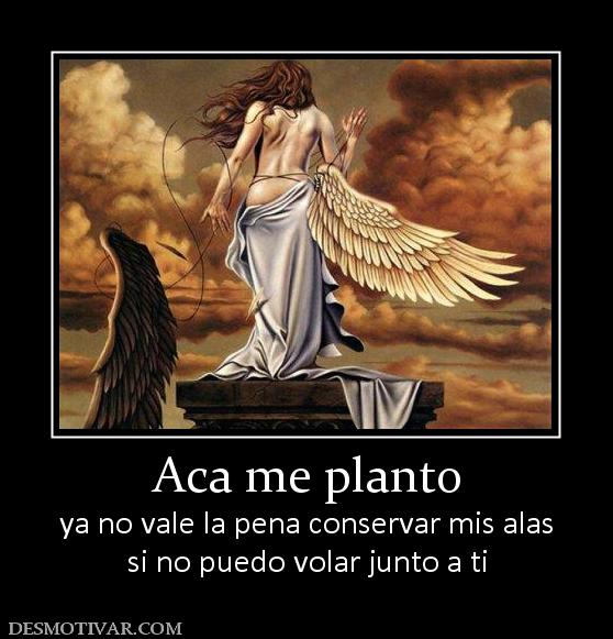 Aca me planto ya no vale la pena conservar mis alas si no puedo volar junto a ti
