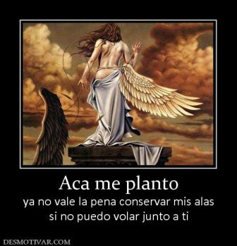 Aca me planto ya no vale la pena conservar mis alas si no puedo volar junto a ti