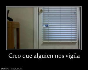 Creo que alguien nos vigila