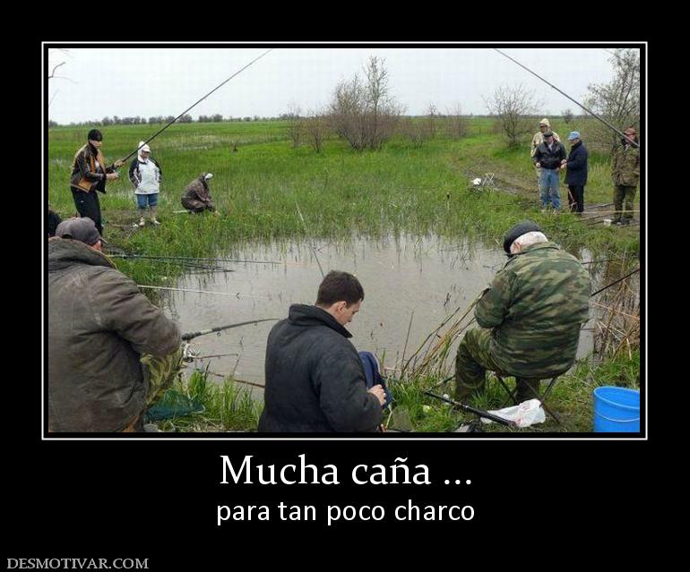 Mucha caña ... para tan poco charco