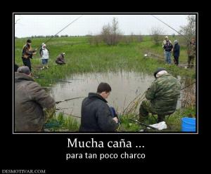 Mucha caña ... para tan poco charco
