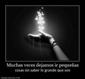 Muchas veces dejamos ir pequeñas cosas sin saber lo grande que son