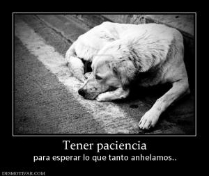 Tener paciencia para esperar lo que tanto anhelamos..