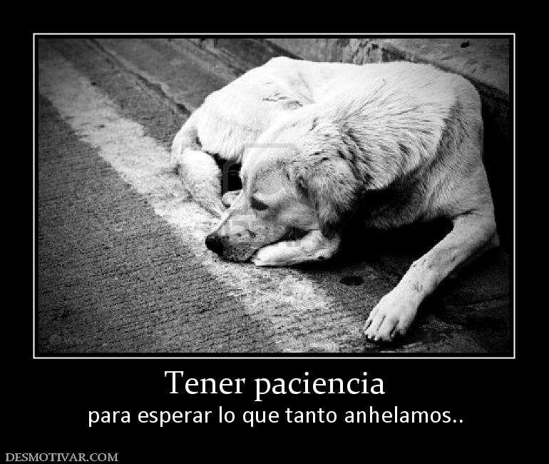 Tener paciencia para esperar lo que tanto anhelamos..