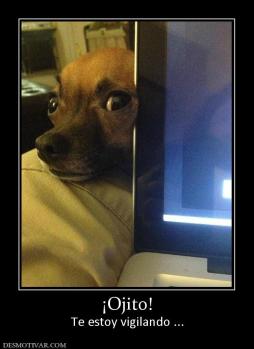 ¡Ojito! Te estoy vigilando ...