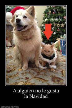 A alguien no le gusta la Navidad