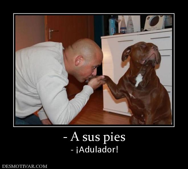 - A sus pies - ¡Adulador!