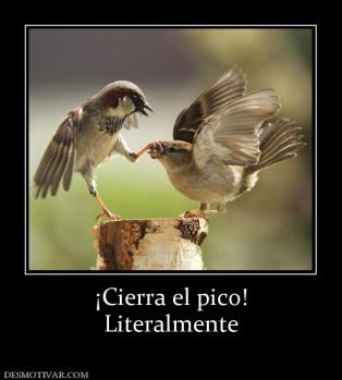 ¡Cierra el pico! Literalmente