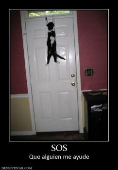 SOS Que alguien me ayude