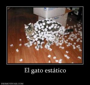 El gato estático