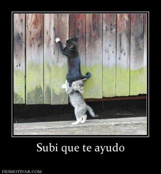 Subi que te ayudo