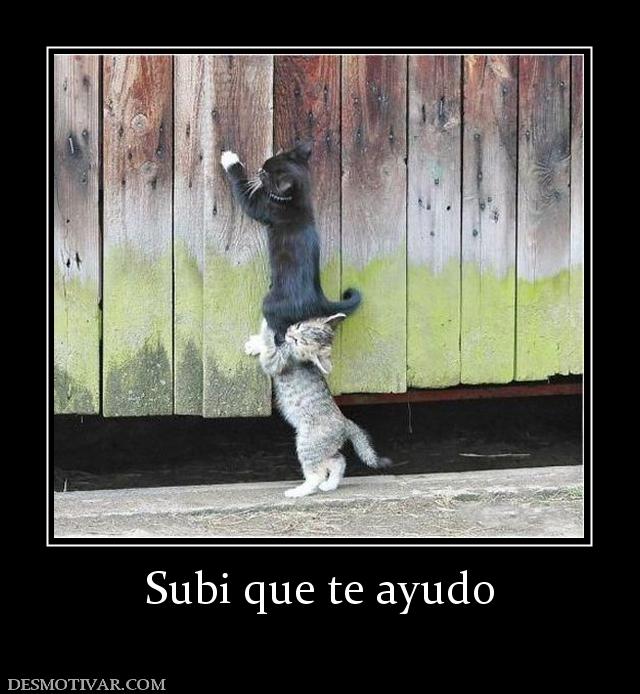 Subi que te ayudo
