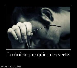Lo único que quiero es verte.