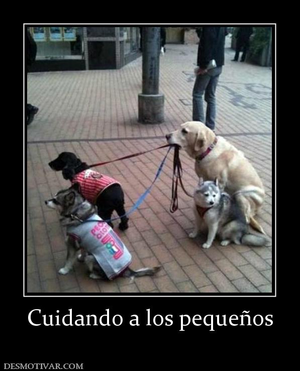 Cuidando a los pequeños