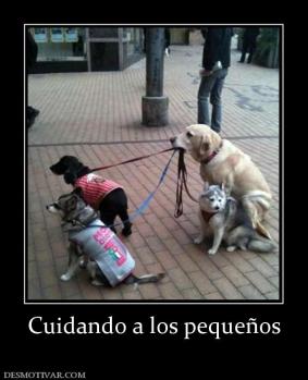Cuidando a los pequeños